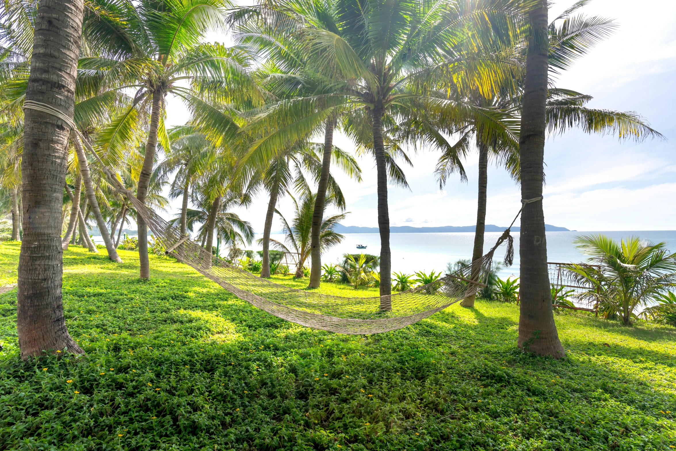 a couple of palm trees and a bench in front of some water