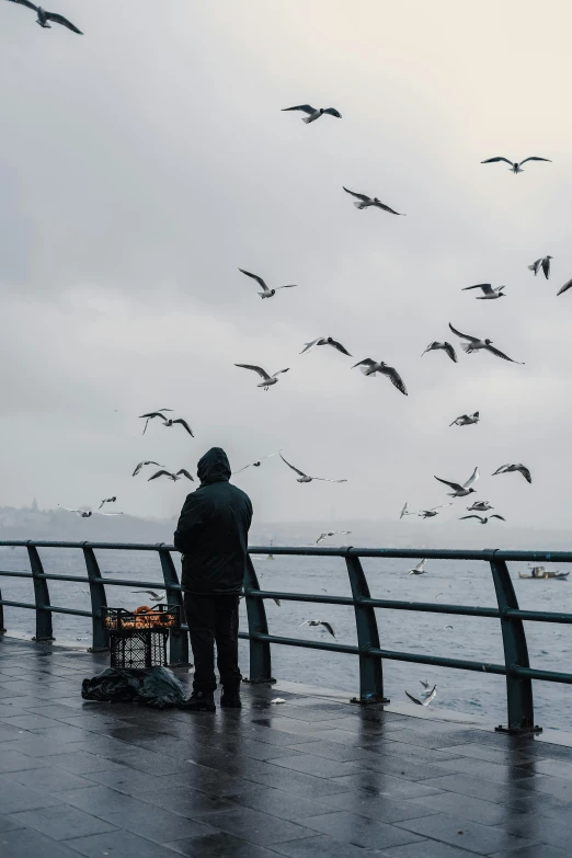 the bird flies as a person stands on a pier