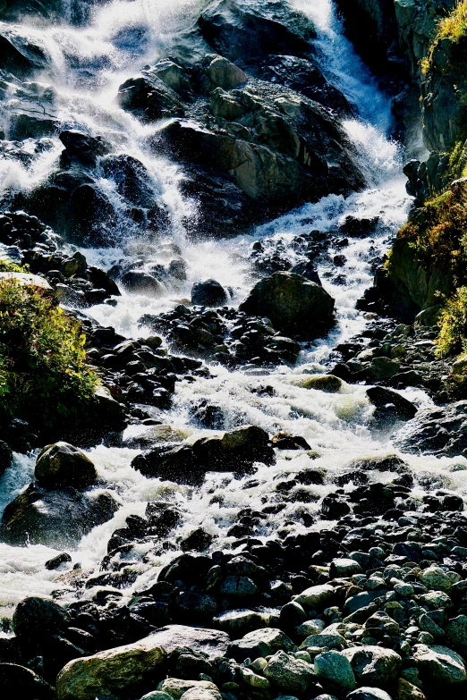 a stream with lots of white water and green bushes