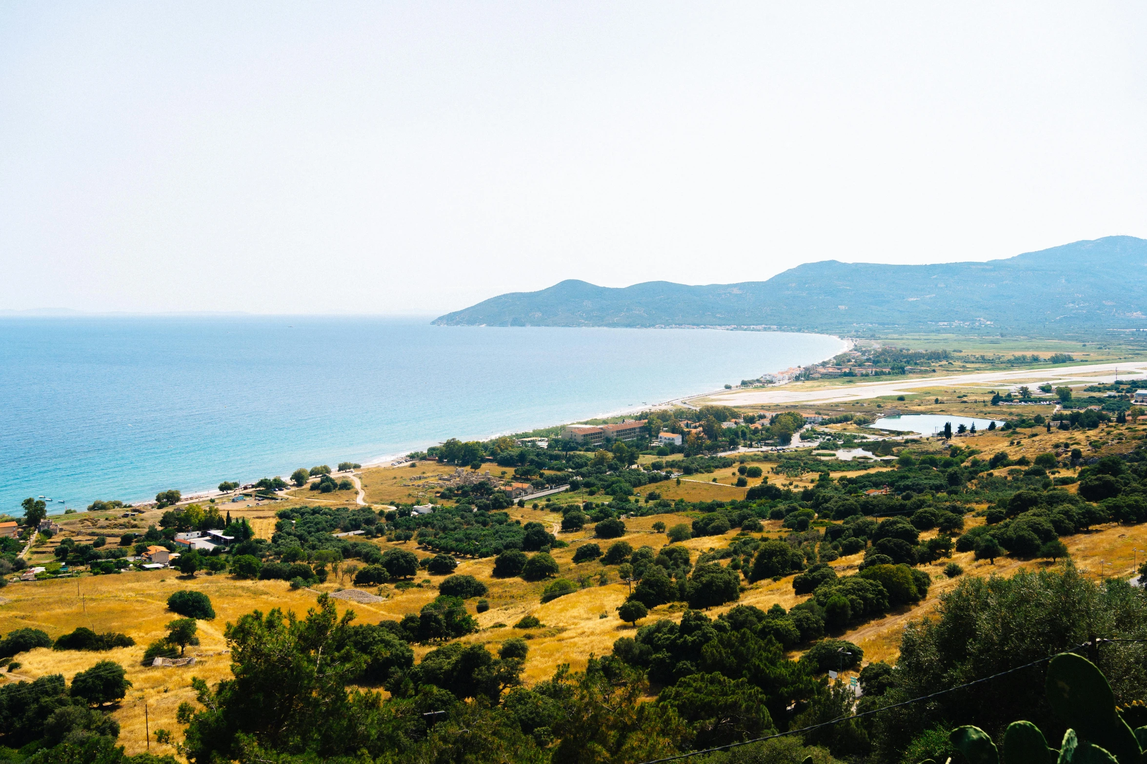 a big pretty beach with a lot of trees