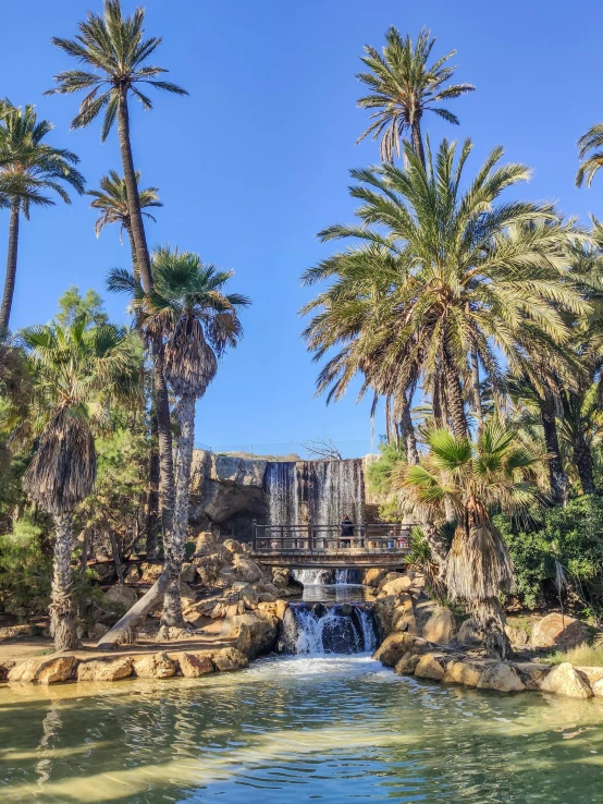 the pool of water features many trees and a waterfall