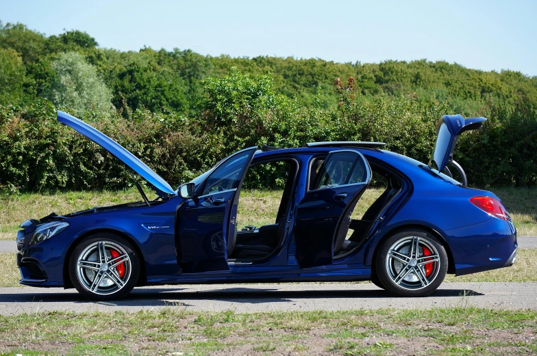 a blue car is on the grass near trees