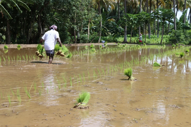 an individual walks through the water in the rain