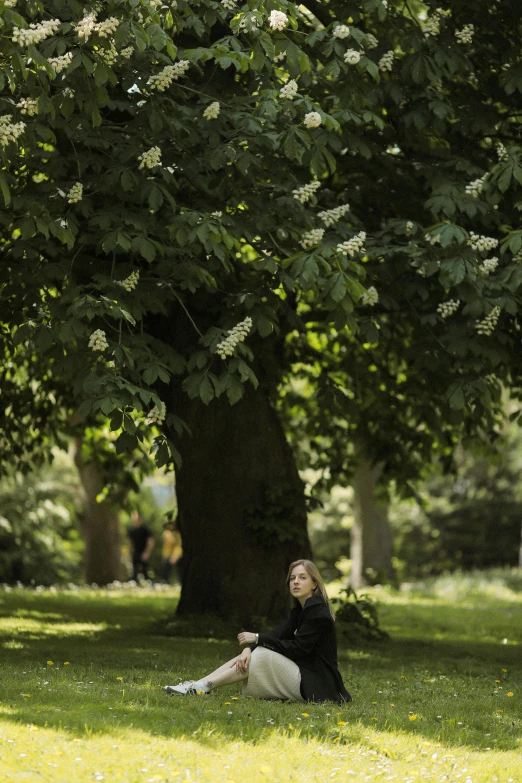 a woman sitting in the shade of a large tree