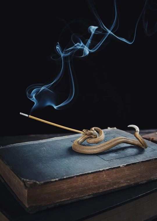 a book sitting on top of a desk with a smoking stick