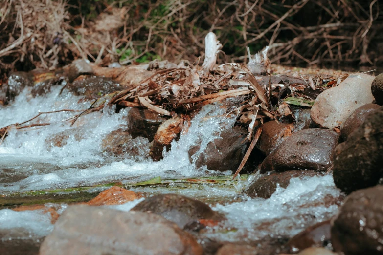 small river rushing between two rocks and dead grass