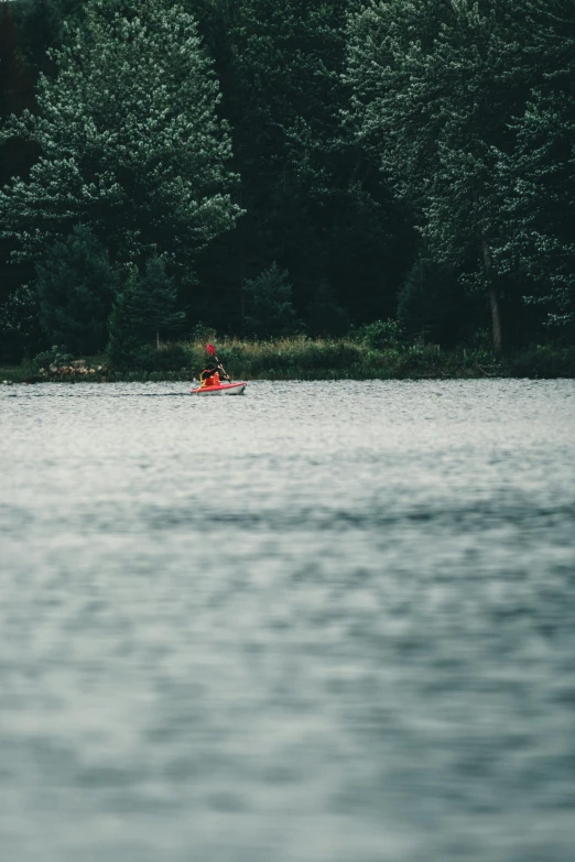 an image of a man in a canoe on a lake