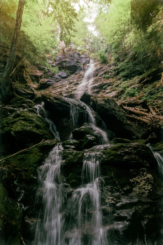 a small waterfall flowing down into the forest