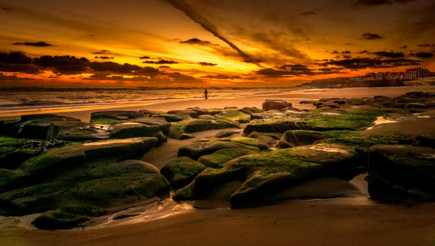 a beach covered with green rocks under a sunset