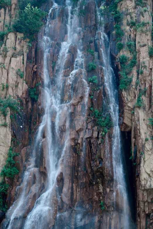 a waterfall that has many little trees growing out of it