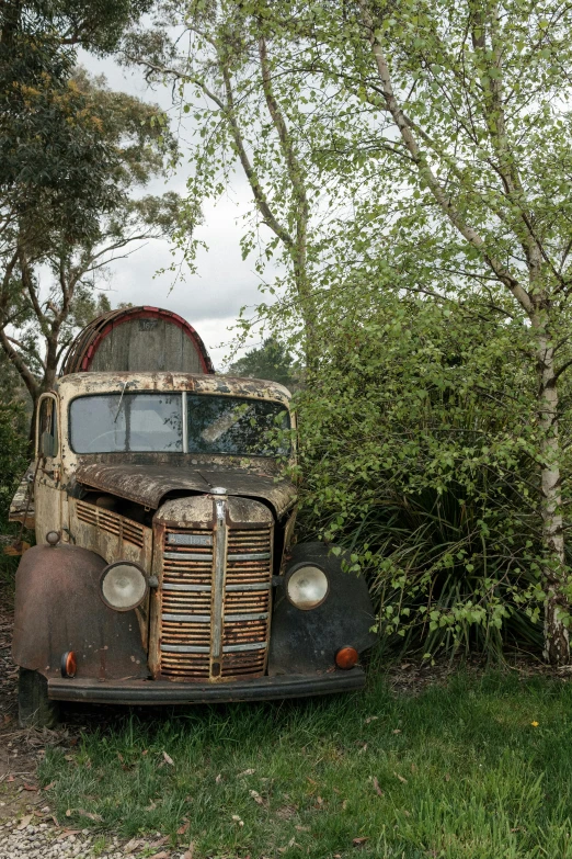 the old truck is parked among the trees
