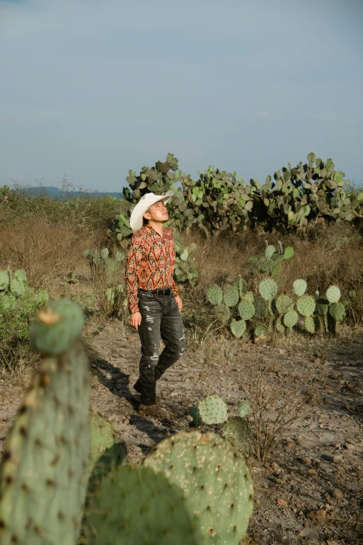 a man in the middle of a cactus field