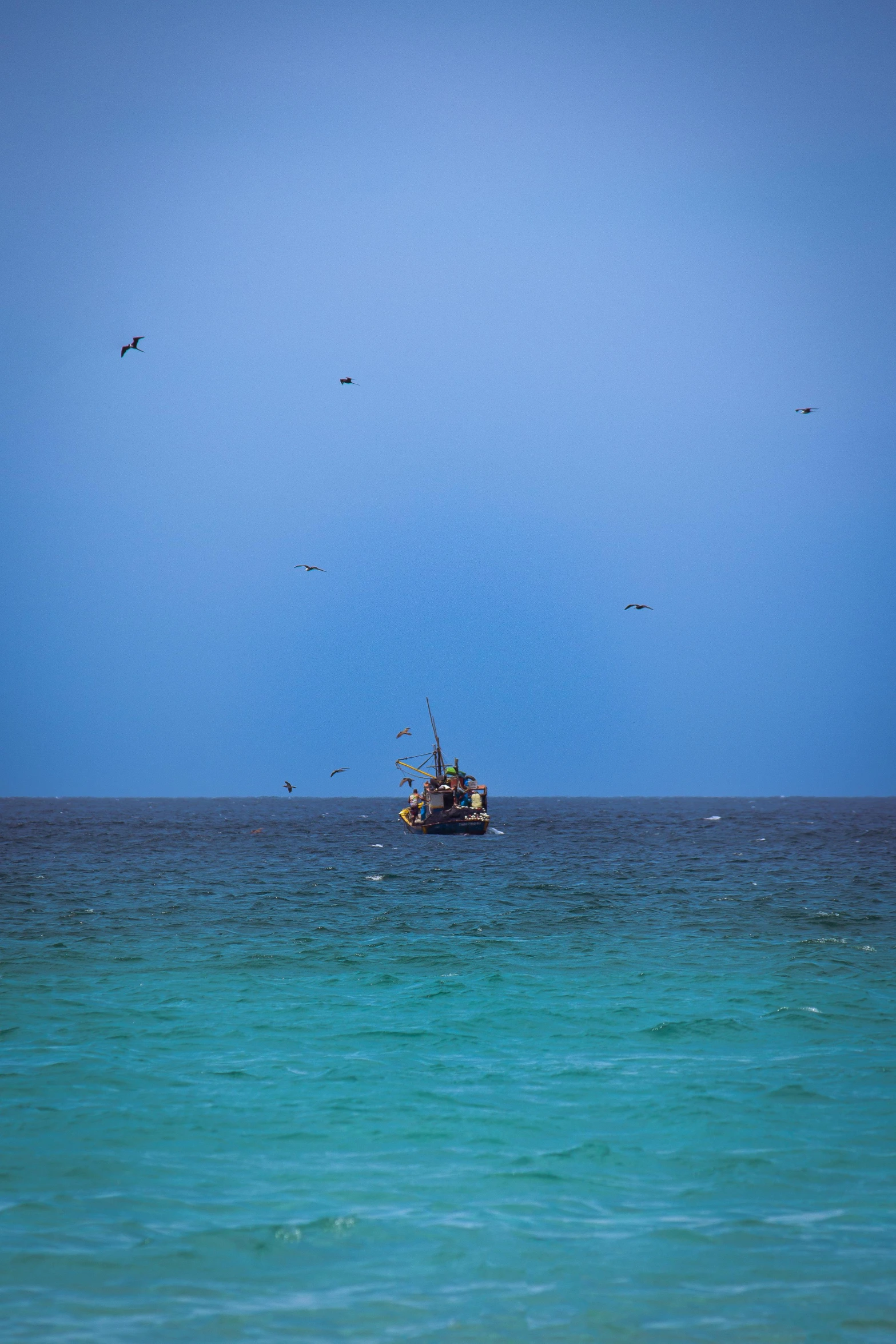 the blue water has a ship in it and birds flying around