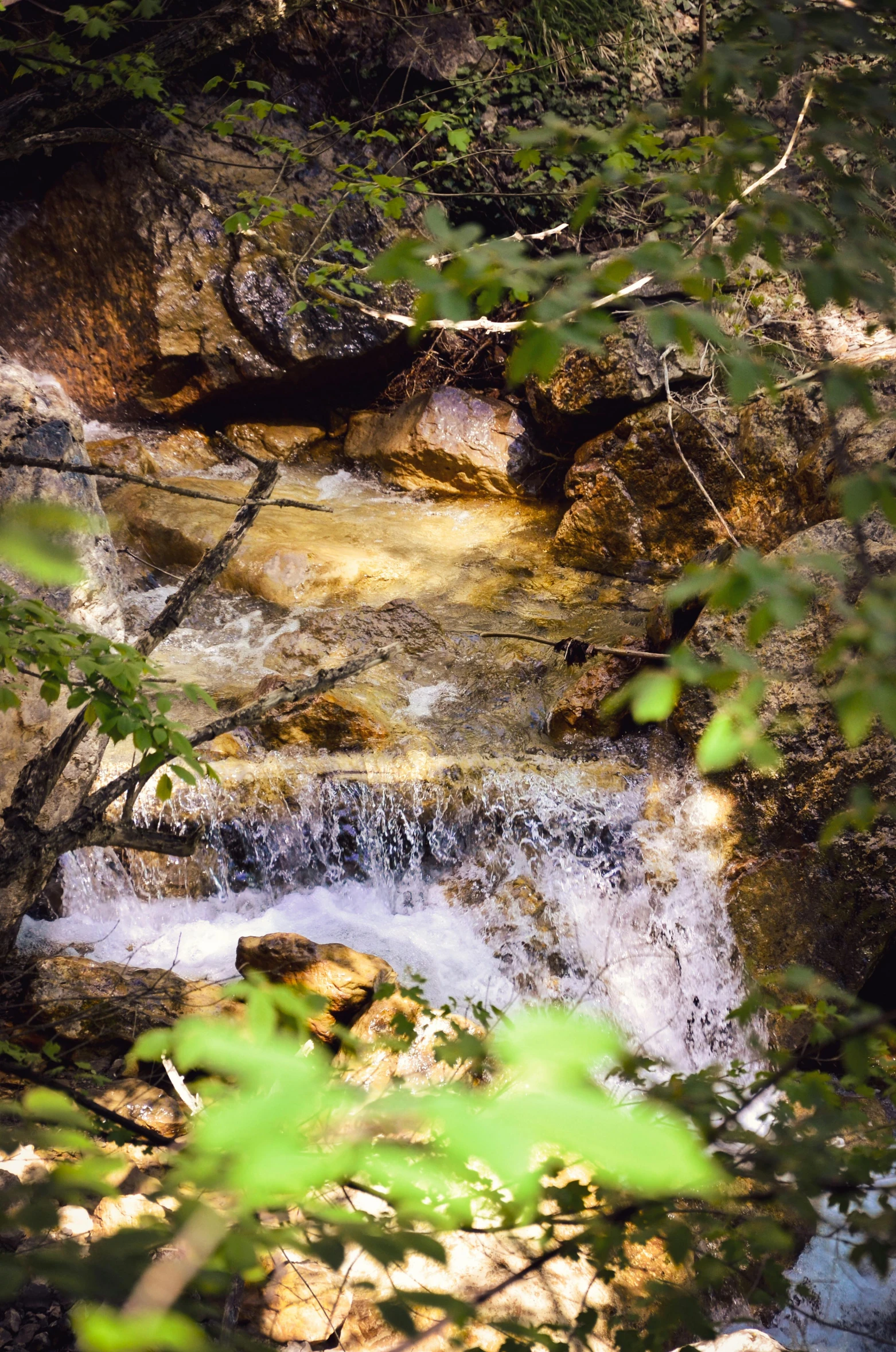 water running over a rocky hill surrounded by green leaves