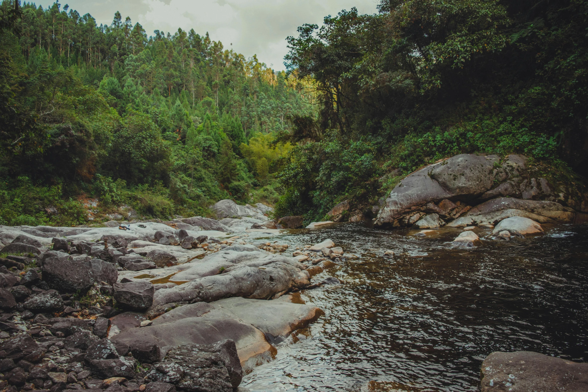 rocky river and trees with cloudy sky