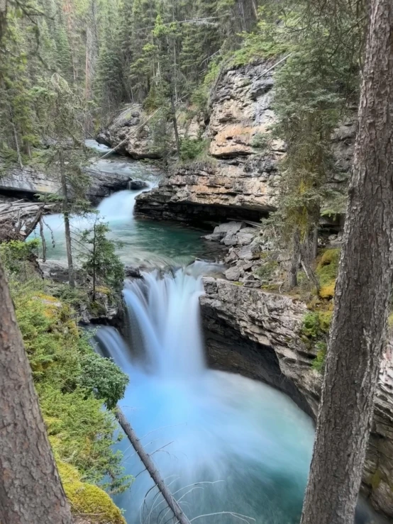 water flows down a canyon that is surrounded by tall trees