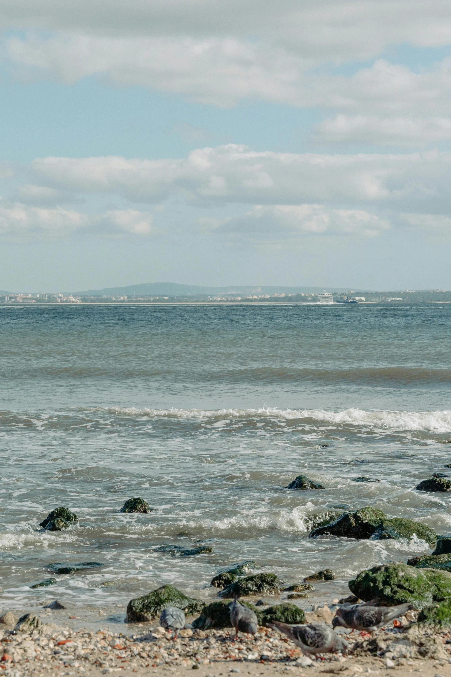 a person is walking on a beach with a surf board