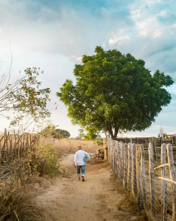 a person walking down a dirt path under a tree