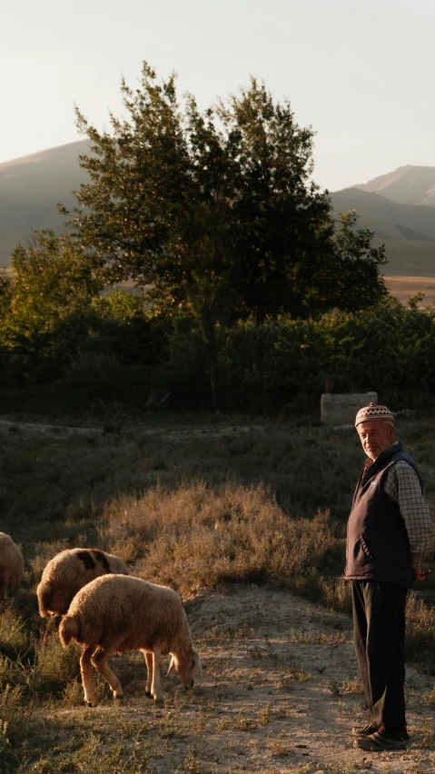 a man standing next to his sheep in a grassy field