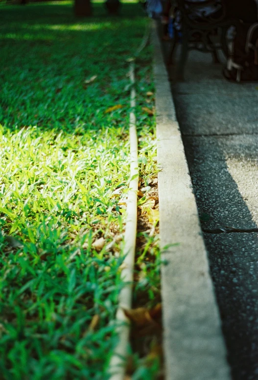 a person riding their skateboard down the sidewalk