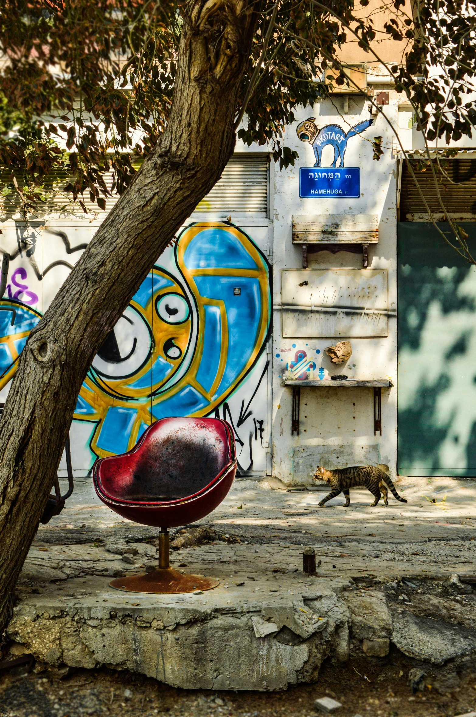 a cat walking through a street by a parked car