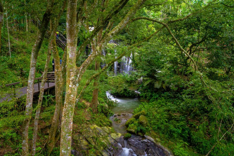 an area that looks great with lots of trees and a waterfall