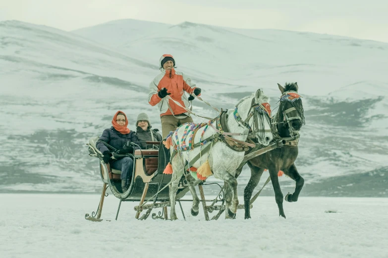 a person riding in a sleigh pulled by two horses