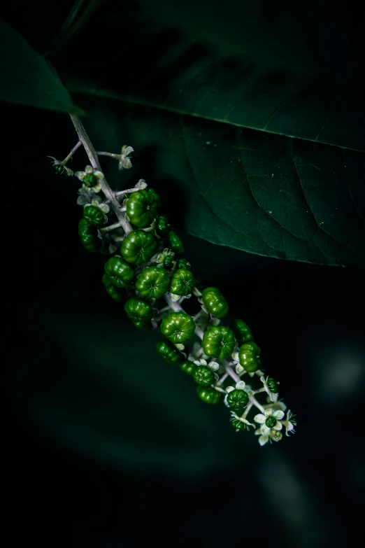 some sort of green and white beaded necklace