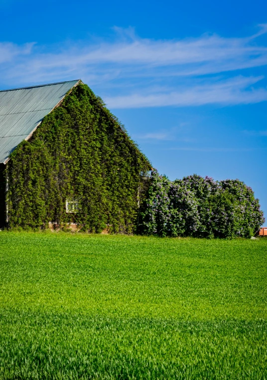 a barn stands in the middle of a field