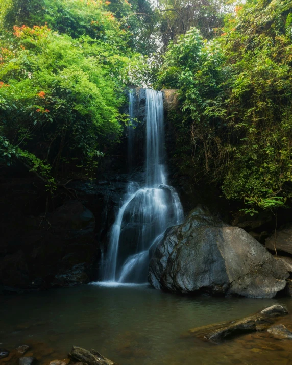 a waterfall on a rocky side surrounded by green leaves