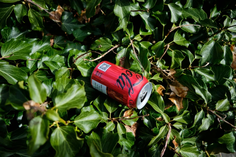 red can of coke with the word go on it is seen from above