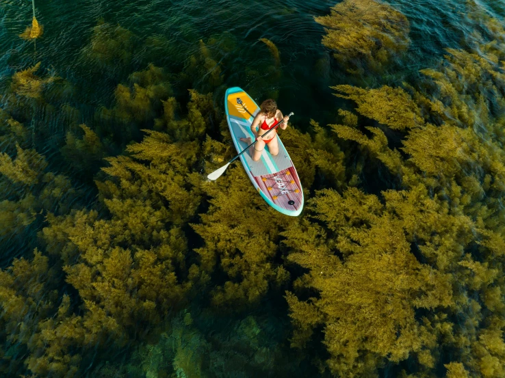 a person is sitting in the water on a surf board