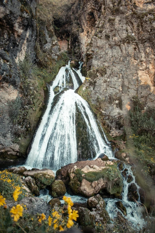 a very big pretty waterfall by some yellow flowers