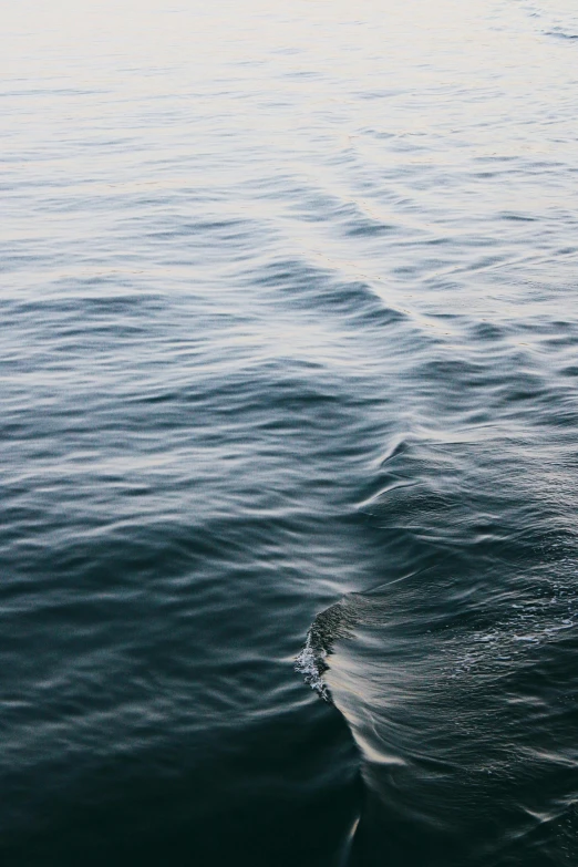 the wake of a boat in the ocean on a sunny day