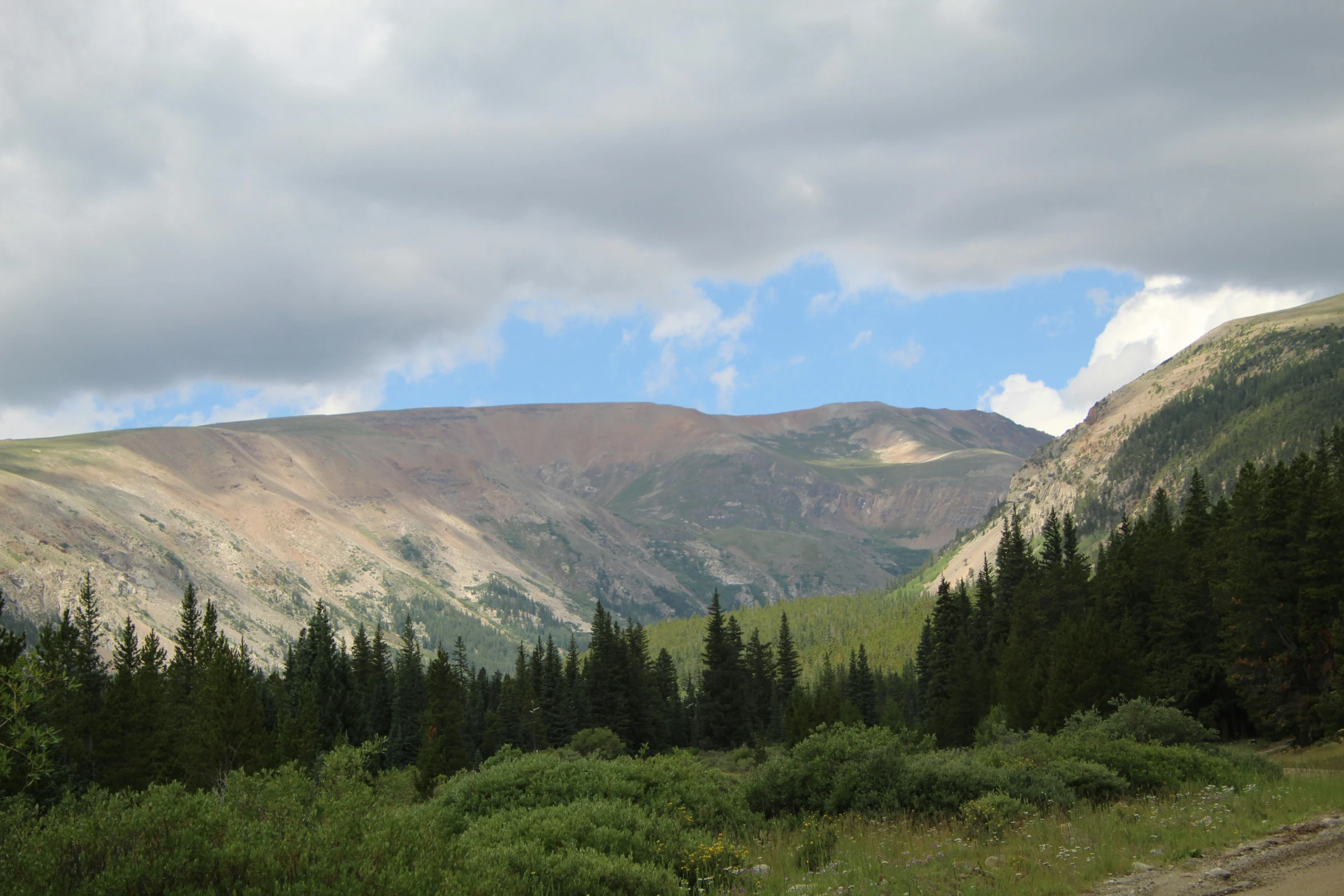 view of a valley with trees and mountains behind it