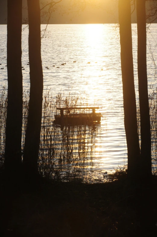 a small boat on water at sunset through trees