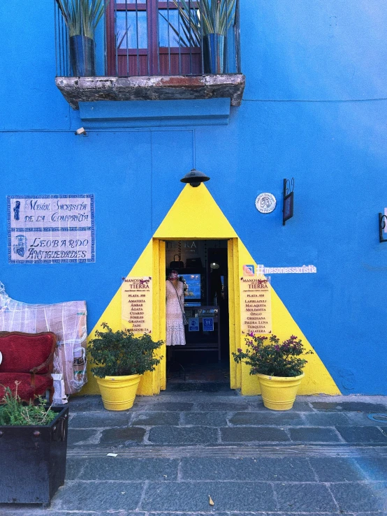 a blue building with yellow triangles and plants in front