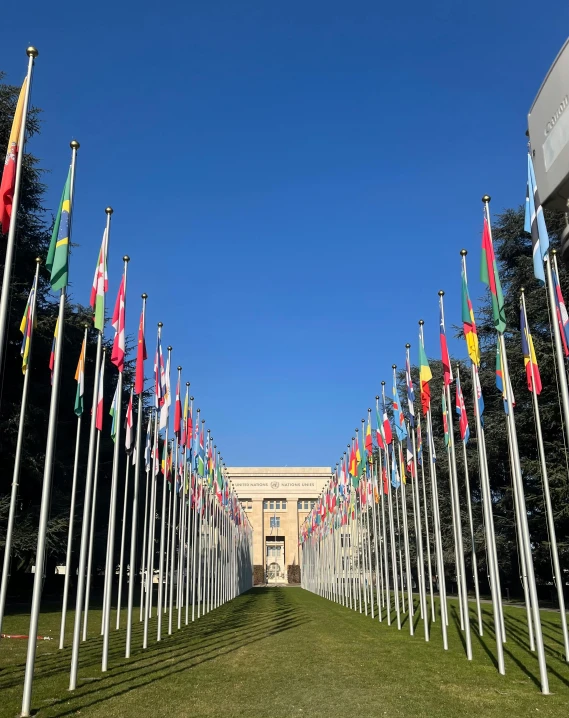 the world's largest flags in a row with the building in the background