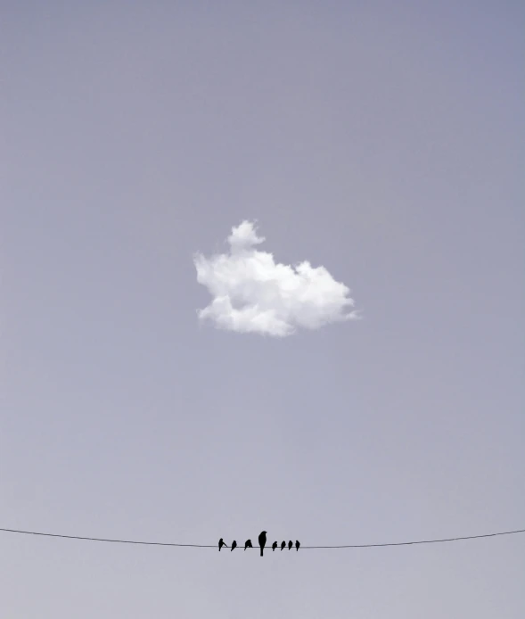 four birds on the telephone lines look up at a cloud