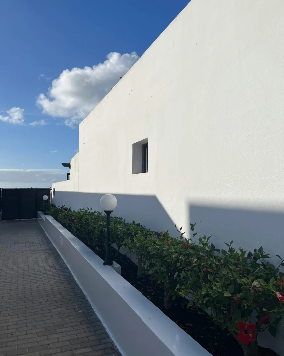 an outside planter and a long white wall