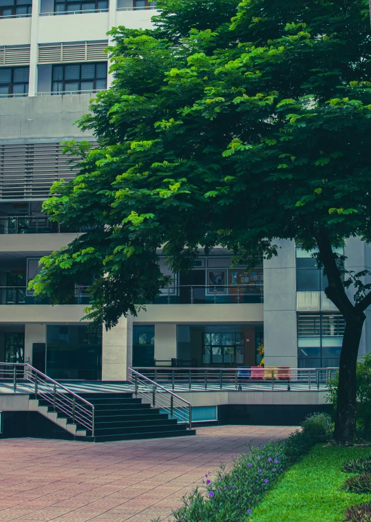 this is an outdoor area with steps leading to a building