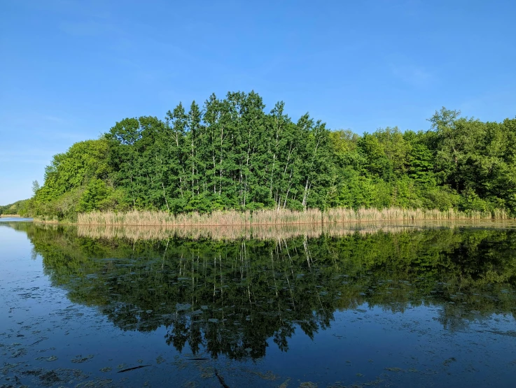 an image of a lake with trees reflecting in the water