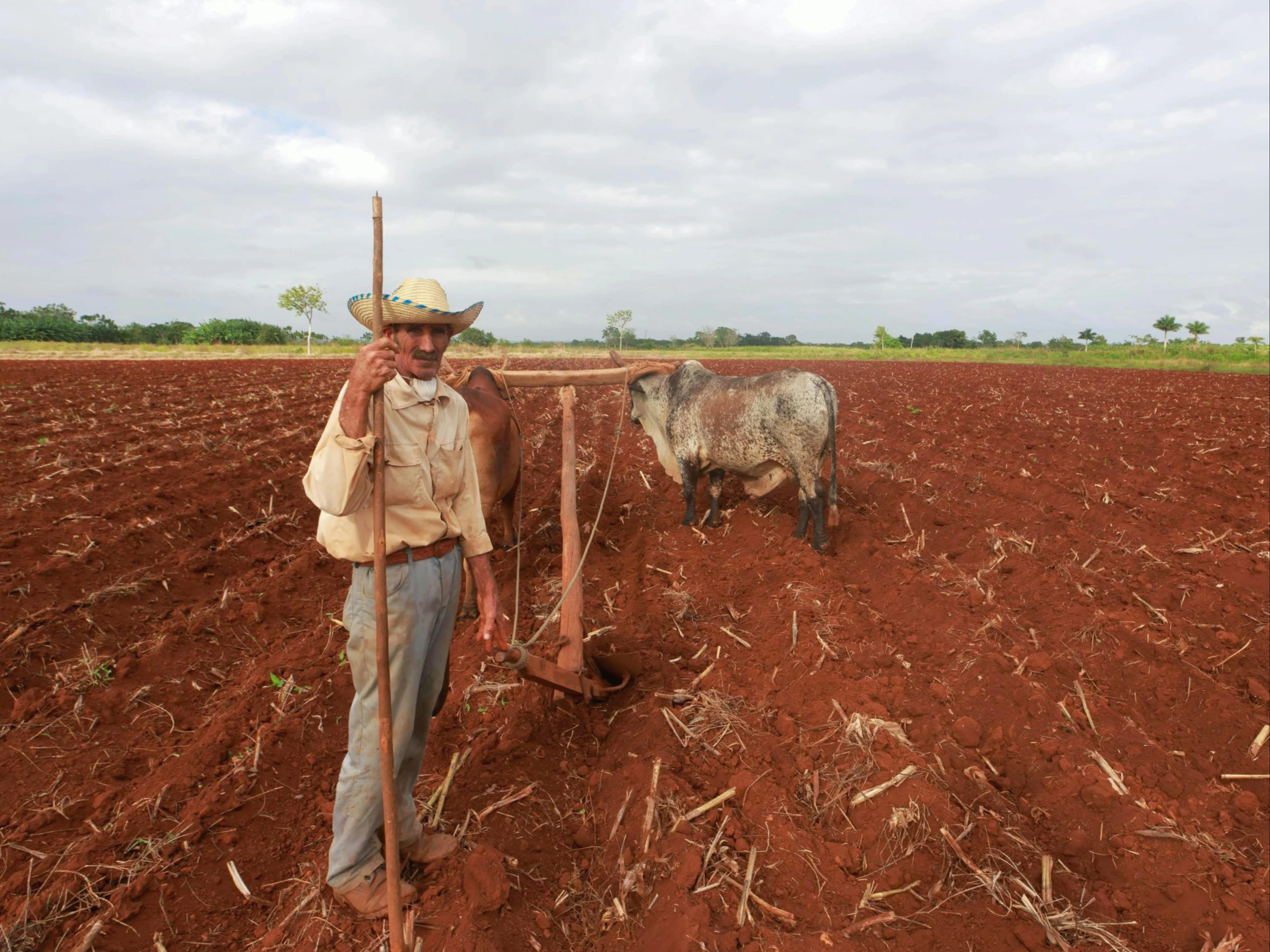 a man is standing in a field using a tiller