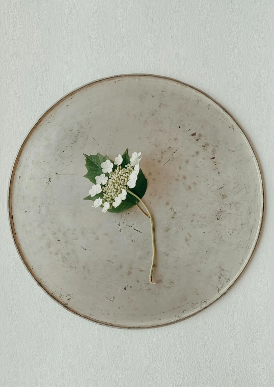 an artistic plate with flower arrangement in middle