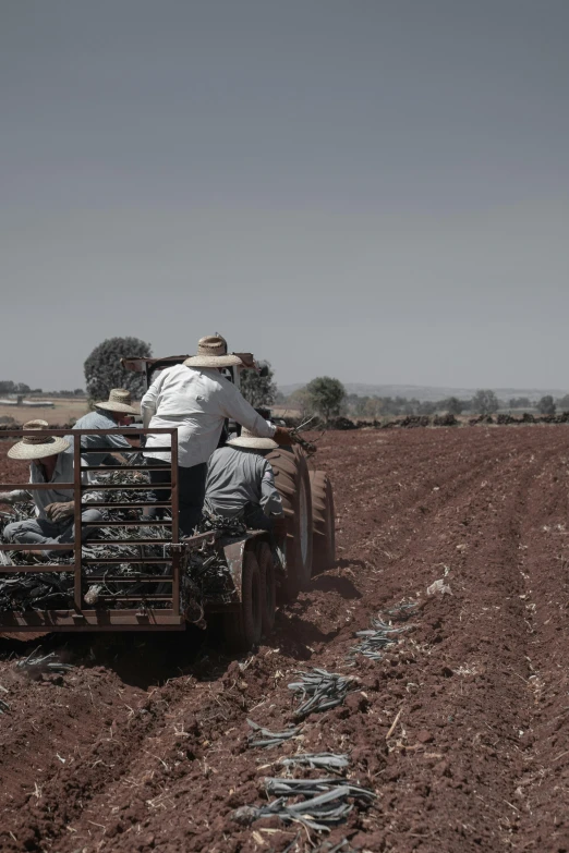 a man sitting on the back of a truck in a dirt field