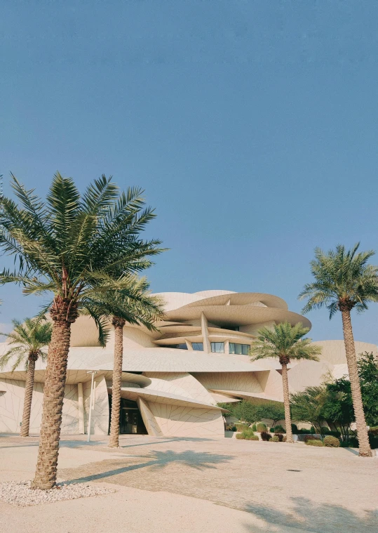 palm trees in front of a building with a circular window