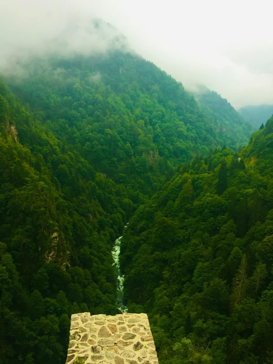 the mountains are covered in green trees and shrubs