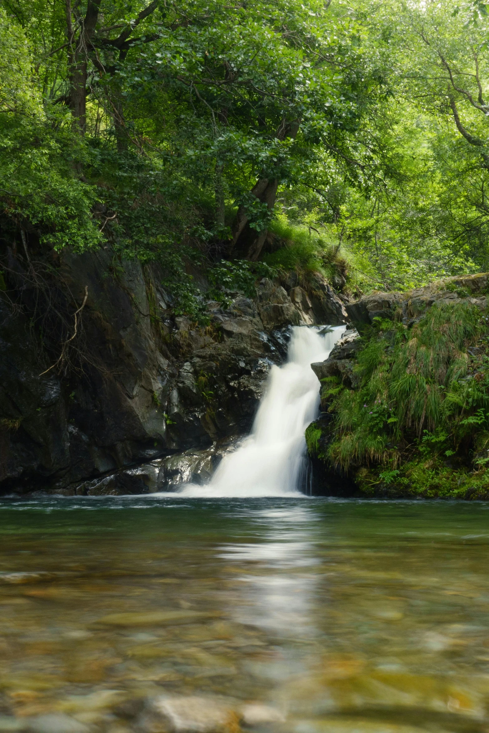 a small waterfall running through the middle of a forest