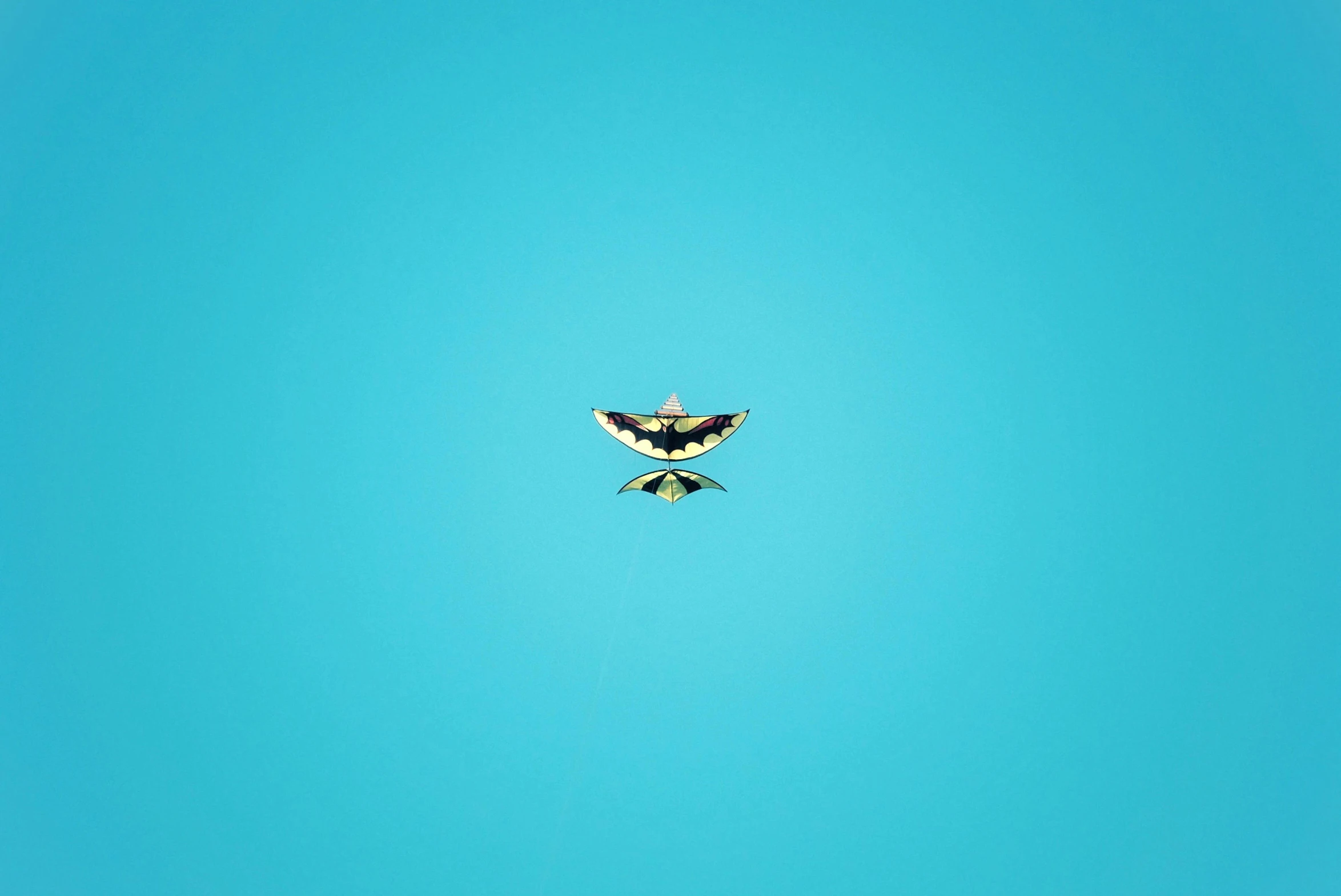 there is an eagle flying through the air