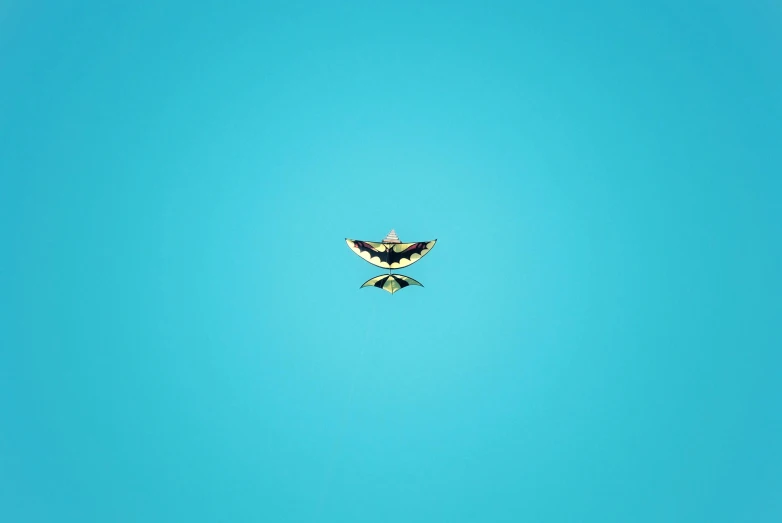 there is an eagle flying through the air